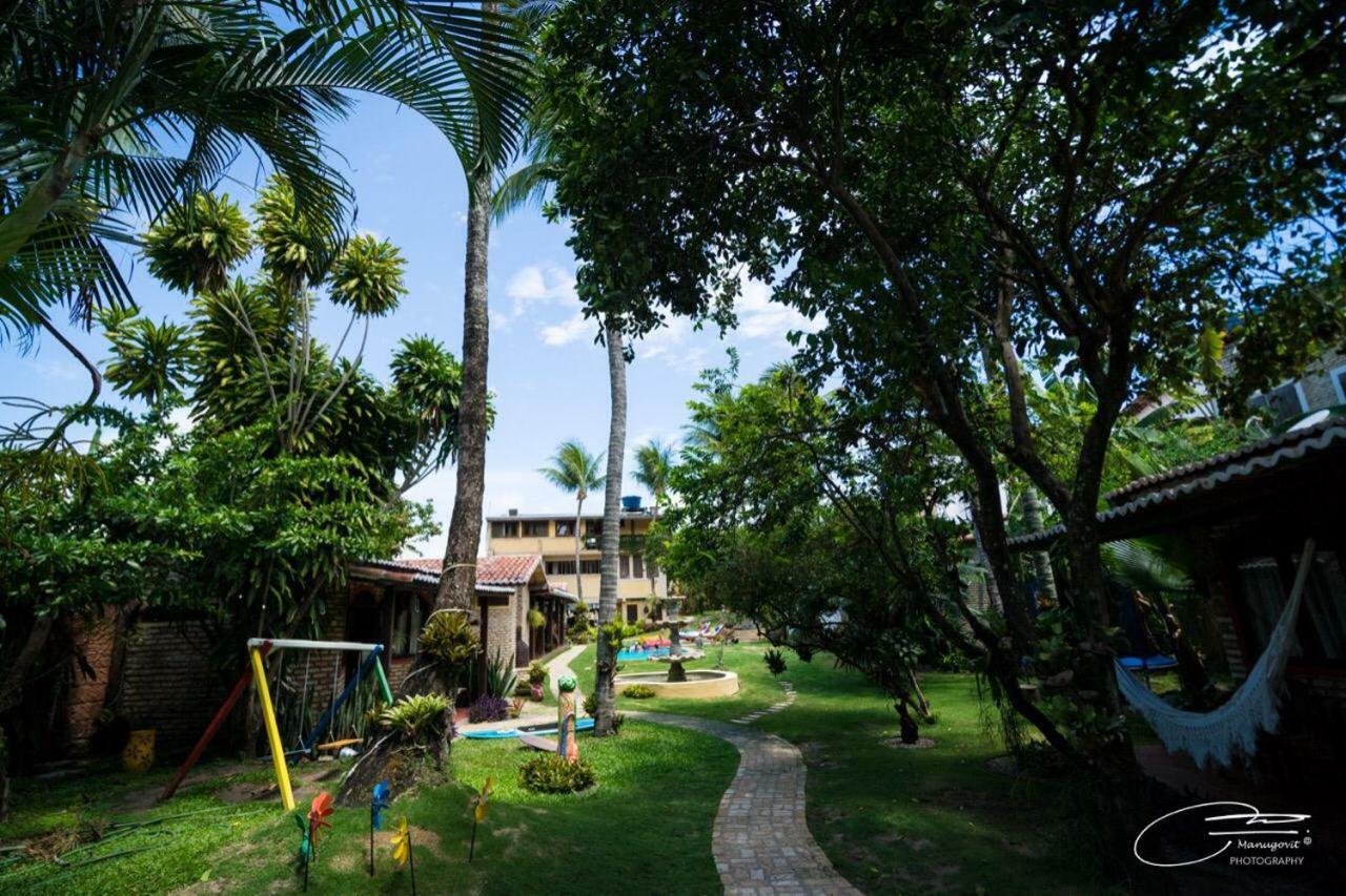 Oasis