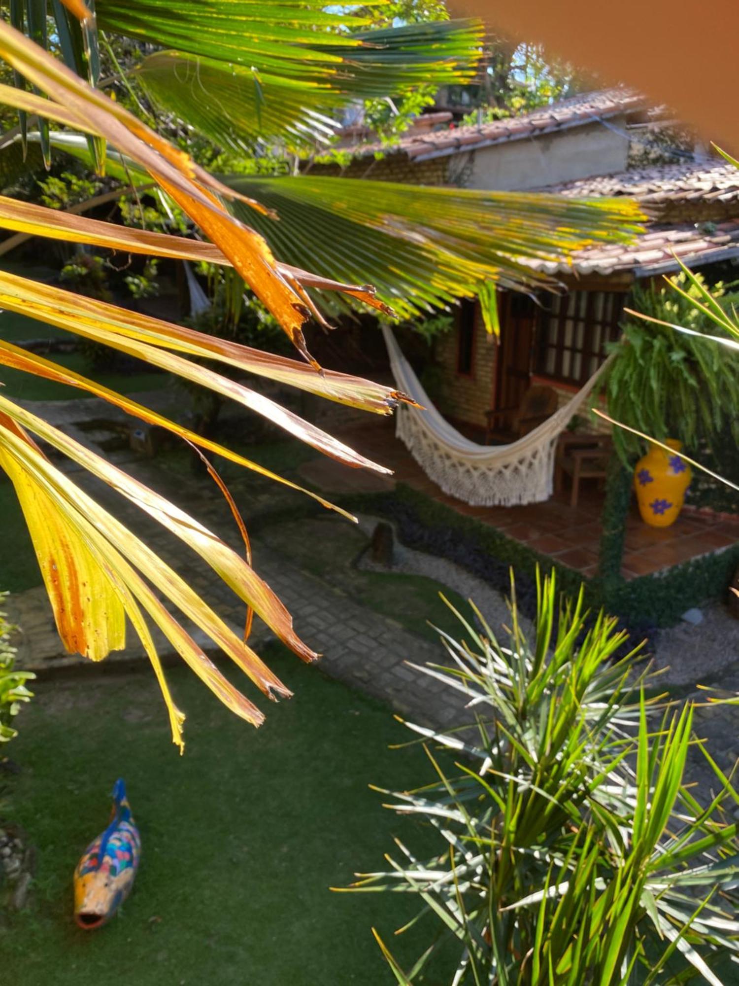 Oasis 3* Praia de Pipa
