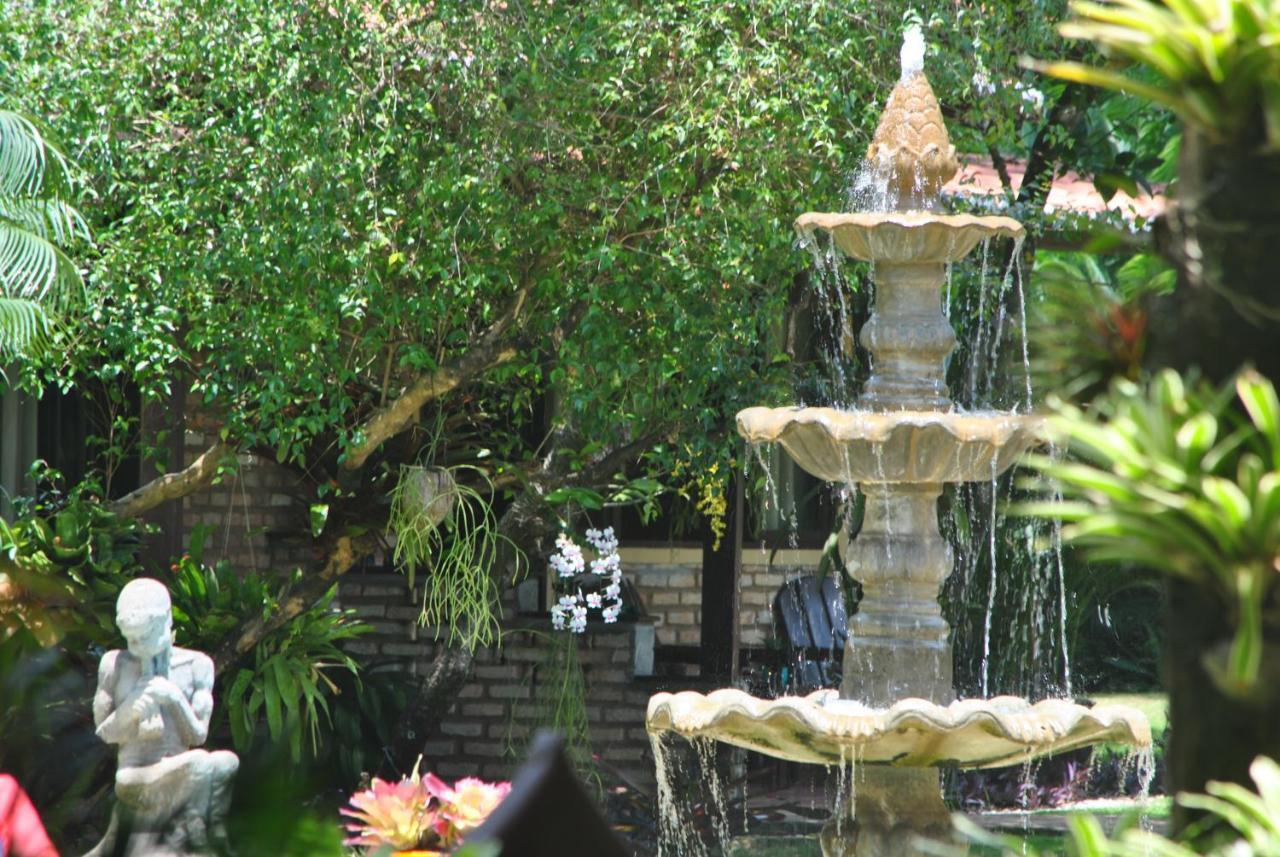 Oasis Inn Praia de Pipa
